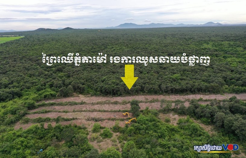 Phnom Tamao forest, Takeo, Cambodia