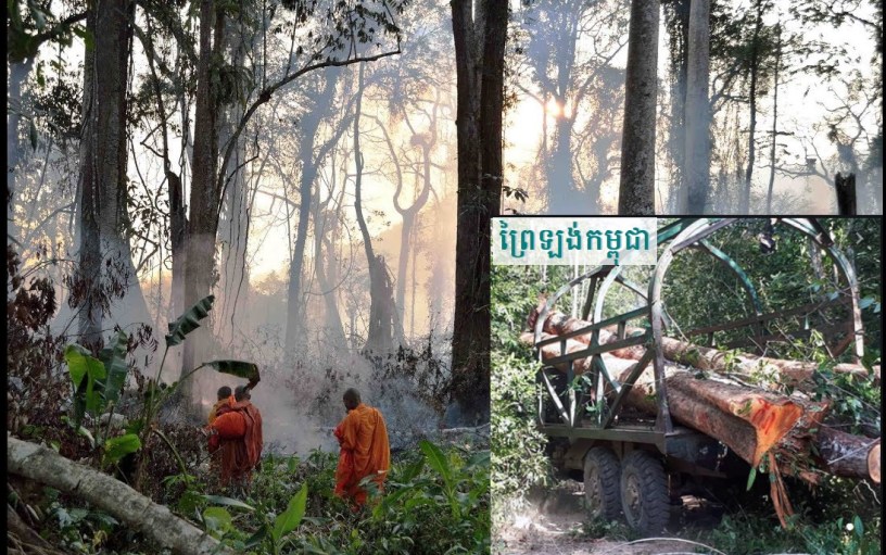 Prey Long Forest of Cambodia